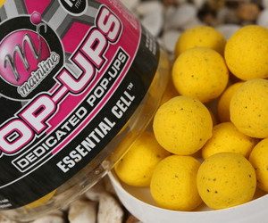 Mainline Dedicated Base Mix Pop Ups