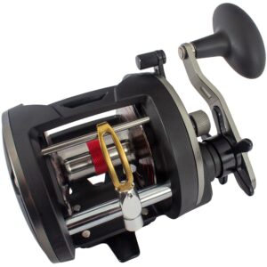 Penn Warfare LW Sea Reel