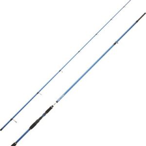 Sea | Thames Angling